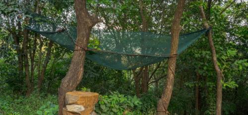 whatsapp_image_2026-07-02_at_1